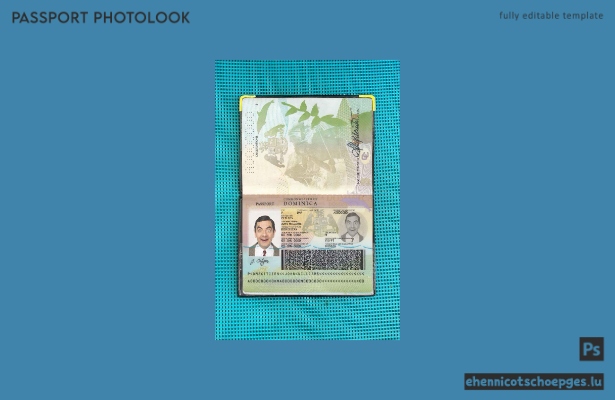 Beispielansicht eines Passfotos für die Dominikanische Republik